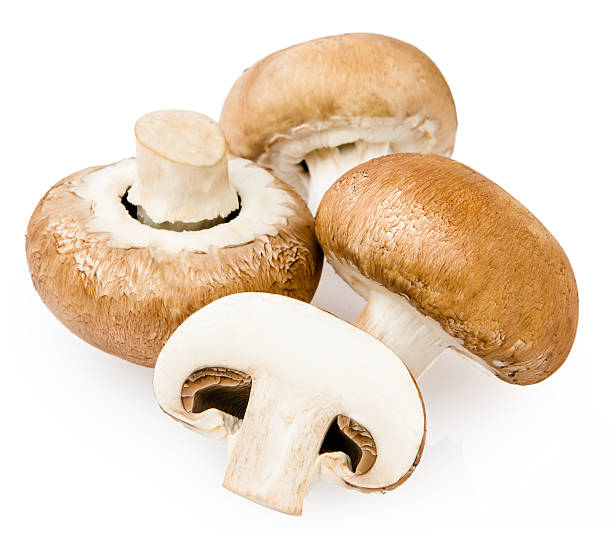 istock Brown champignon mushroom isolated on white background 523635693