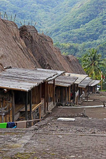 istock Indonesia: Gurusina Hill Tribe Village in Flores 523636151