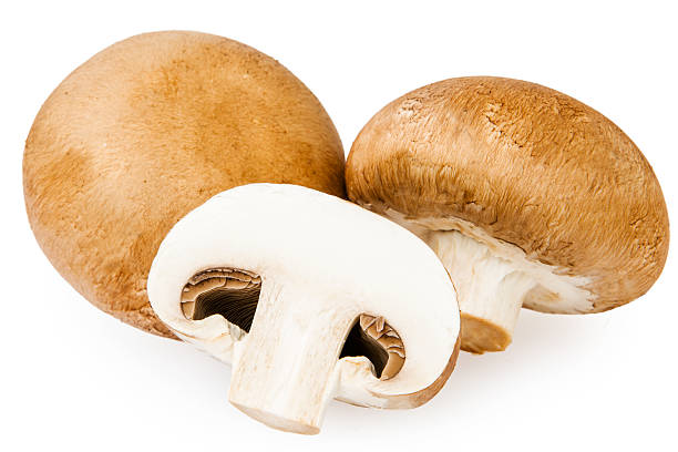 istock Brown champignon mushroom isolated on white background 523636377