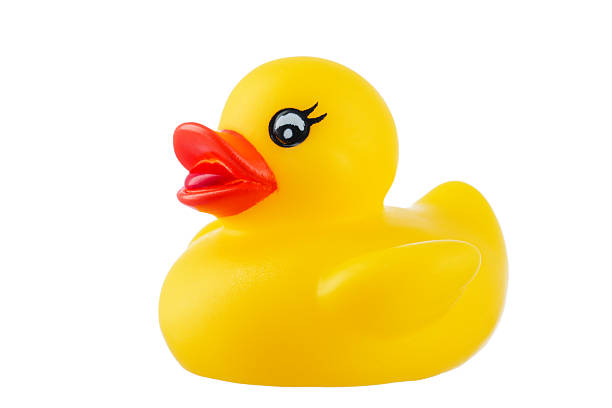 istock Yellow rubber duck, isolated on white 523646929