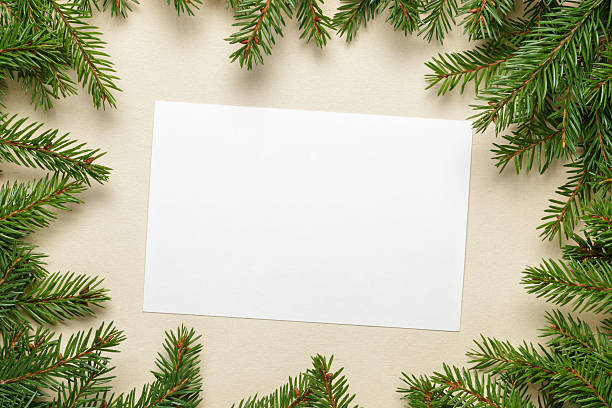 istock paper card with fir twigs around 523649313
