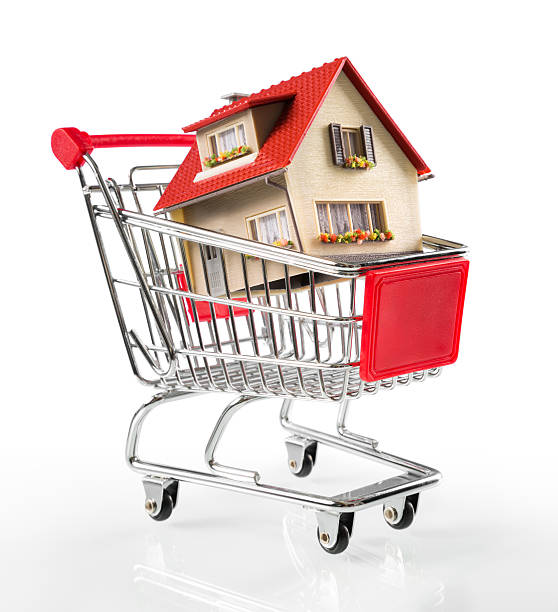 istock house in shopping-cart 523650753