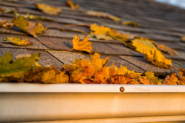 Leaves in gutter and roof of a house stock photo