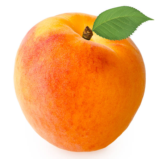 istock ripe apricots isolated on white background 523657817
