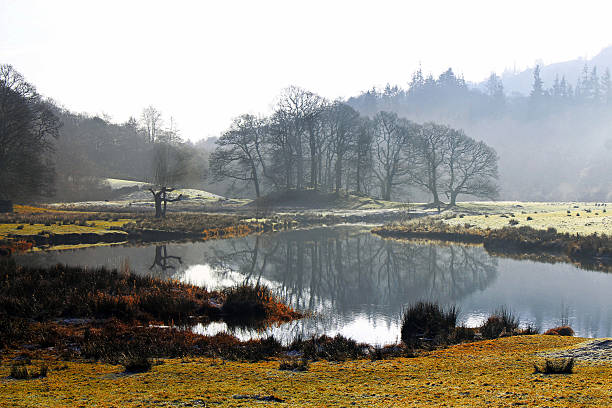 istock English countryside with mist 523658457