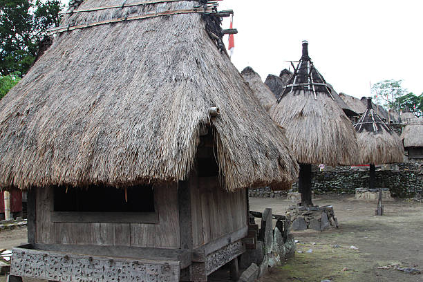 istock Indonesia: Bena Hill Tribe Village in Flores 523660879