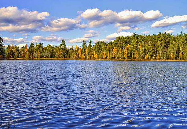 wilderness lac du hartwick pines state park, dans le michigan - northern lake photos et images de collection