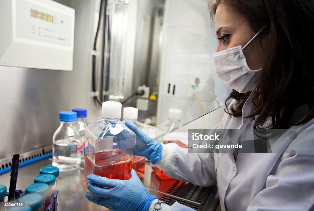 Female scientist working in lab Close up of a young  woman wearing safety gloves and a lab coat at work in a laboratory Fume Hood Stock Photo