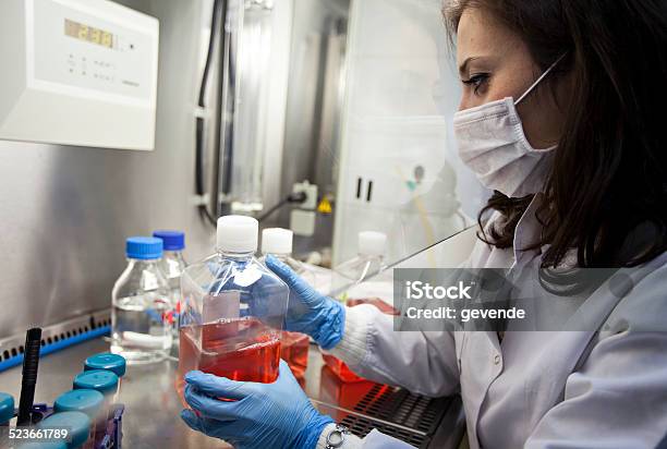 Female Scientist Working In Lab Stock Photo - Download Image Now - Fume Hood, Adult, Analyzing
