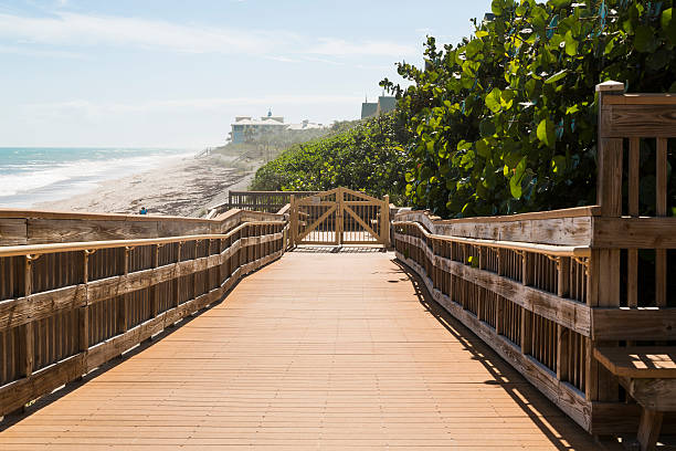 istock Wooden path to the beach 523662787
