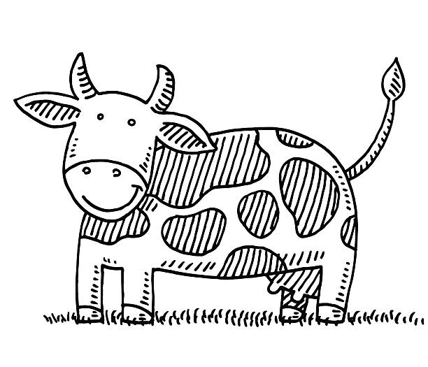 Happy Cartoon Cow Drawing Hand-drawn vector drawing of a Happy Cartoon Cow. Black-and-White sketch on a transparent background (.eps-file). Included files are EPS (v10) and Hi-Res JPG. cow drawings stock illustrations
