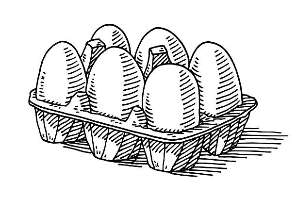 ilustrações de stock, clip art, desenhos animados e ícones de seis ovos secundário mercearia desenho - isolated on white white background six objects group of objects