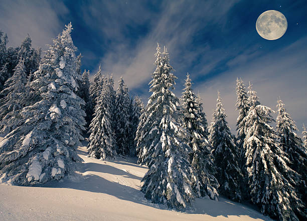 istock Beautiful night scenery in the mountains at winter 523663761
