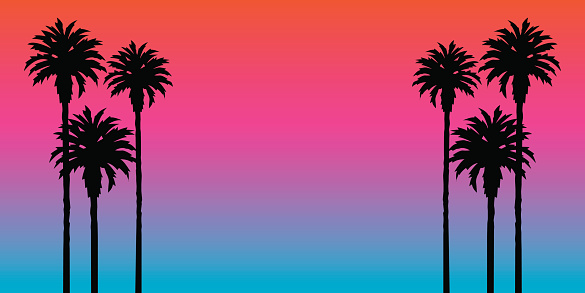 Vector illustration of a rich colorful sunset background,with palm tree silhouettes on either side.