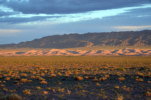 istock The Gobi desert, southern Mongolia 523664087