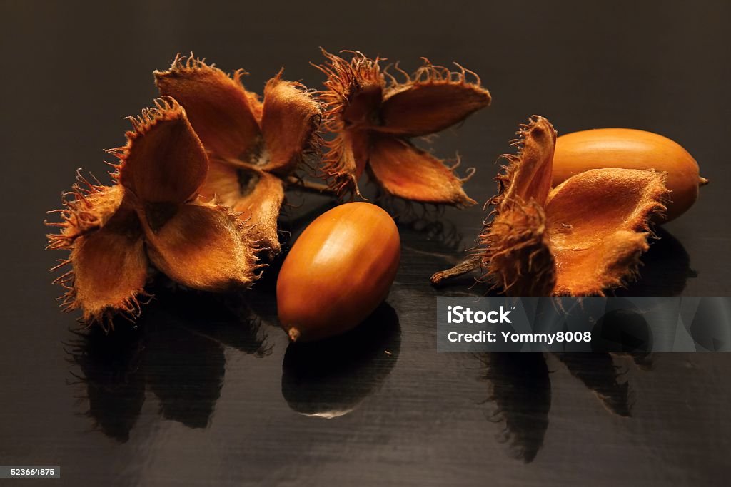 Acorns and beechnuts Acorns and beechnuts seasonal autumn fruits are on the black board with visible reflection Acorn Stock Photo