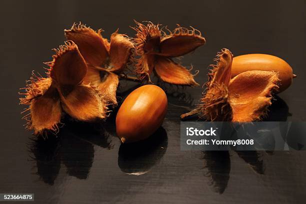 Acorns And Beechnuts Stock Photo - Download Image Now - Acorn, Autumn, Beauty