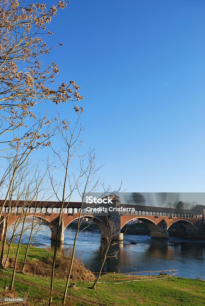 Ponte coperto sul fiume Ticino - Foto stock royalty-free di Albero