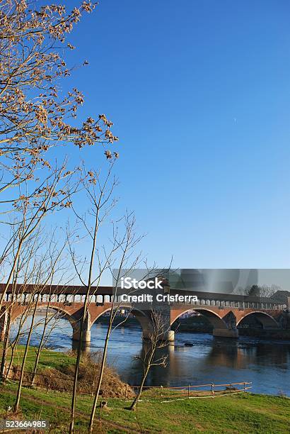 Ponte Coperto Sul Fiume Ticino - Fotografie stock e altre immagini di Albero - Albero, Ambientazione esterna, Architettura