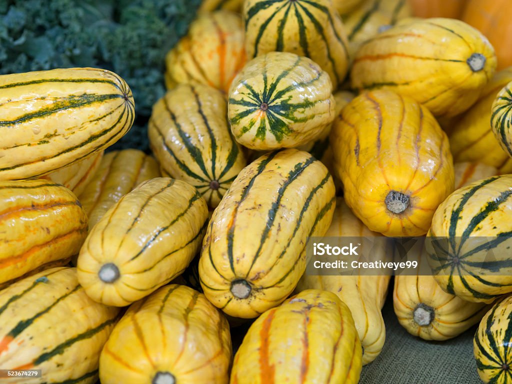 Delicate squash Delicata squash at a farmers market Autumn Stock Photo
