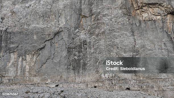 Alpine Ibex Stock Photo - Download Image Now