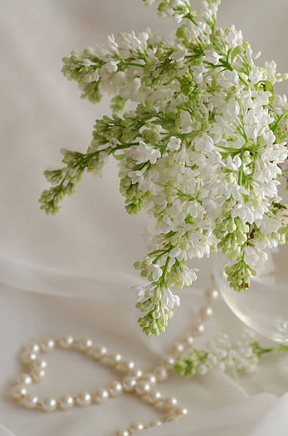 istock Heart from white pearls and lilac 523676371