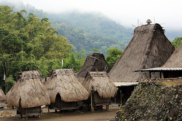 istock Indonesia: Bena Hill Tribe Village in Flores 523680475