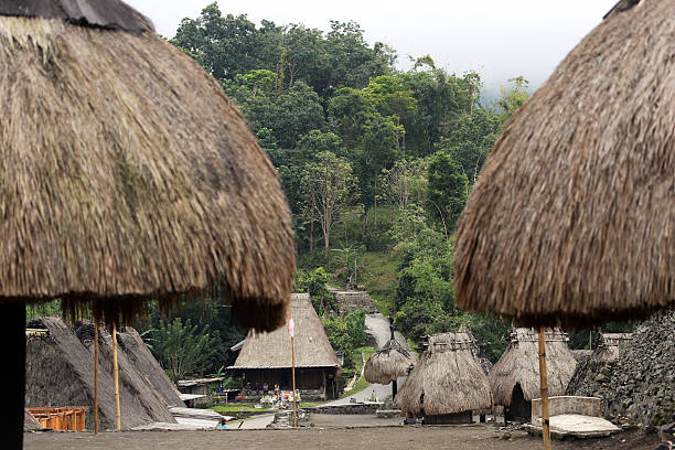 istock Indonesia: Bena Hill Tribe Village in Flores 523681383