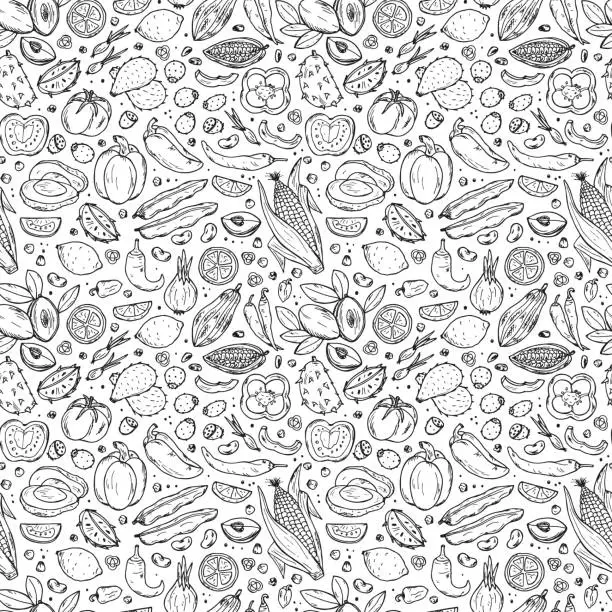 Vector illustration of Mexican Food Vector Seamless pattern. Hand drawn doodle Fruits, Vegetables