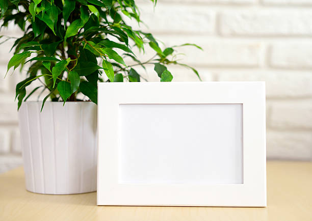 empty Picture Frame and flowers in a pot
