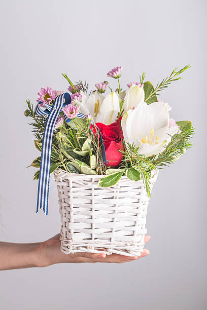 mano retención cesta de flores foto de estudio - hanging flower basket isolated fotografías e imágenes de stock