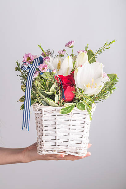 mano tenere fiore cesto fotografia da studio - hanging flower basket isolated foto e immagini stock