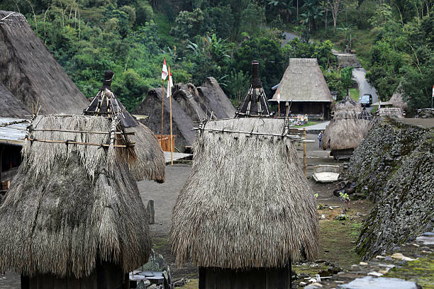 istock Indonesia: Bena Hill Tribe Village in Flores 523691817