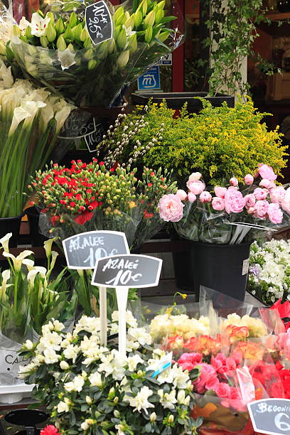 istock Paris - street market 523692076