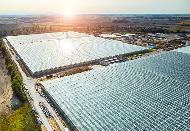 istock Sunset above the greenhouse 523692660