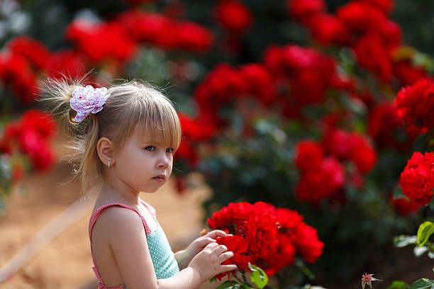istock Little girl in red roses 523692896