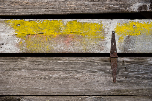 Rusty Log Log Wall With Rusty Hinge Stock Photo - Download Image Now - Algae ...