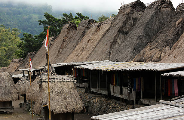 istock Indonesia: Bena Hill Tribe Village in Flores 523693203