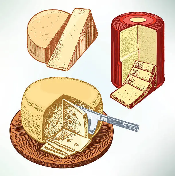 Vector illustration of Cheese - Wheel, Sliced and Wedge