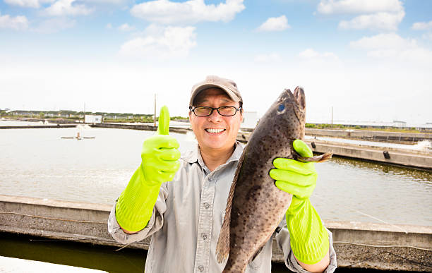 istock happy fisherman showing  fish before breeding fish pond 523693378