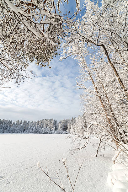 istock Winter wood lake 523693395