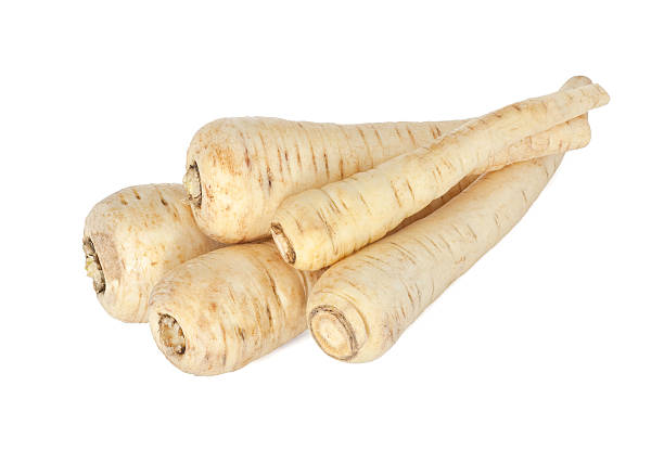 pastinagas - parsnip vegetable winter food imagens e fotografias de stock