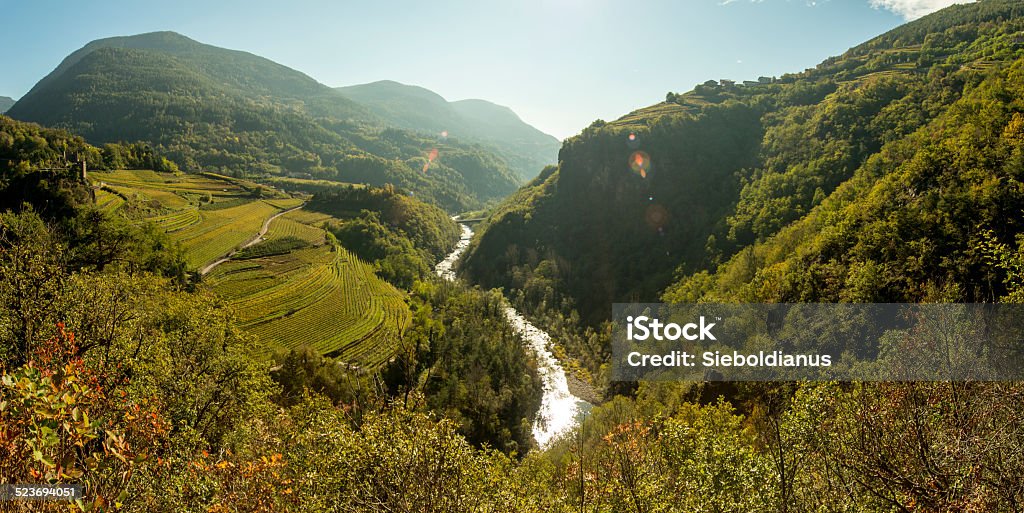 Wine terraces in Cembra Valley (Trentino) with Avisio river. Valley Stock Photo