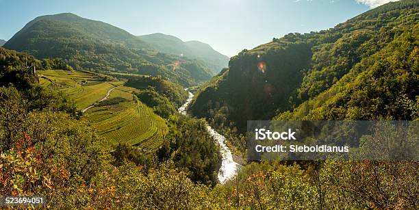 Wine Terraces In Cembra Valley With Avisio River Stock Photo - Download Image Now