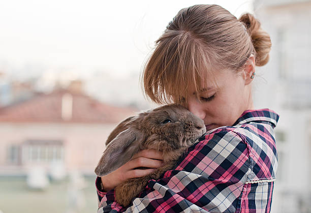 istock Young woman hugs big cute rabbit 523694349