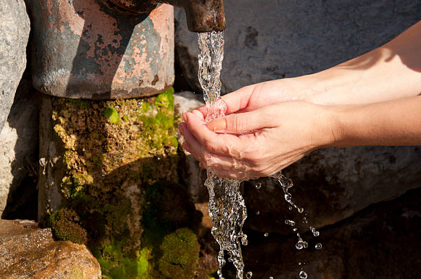 istock female hands under the column  of water from the source 523694565