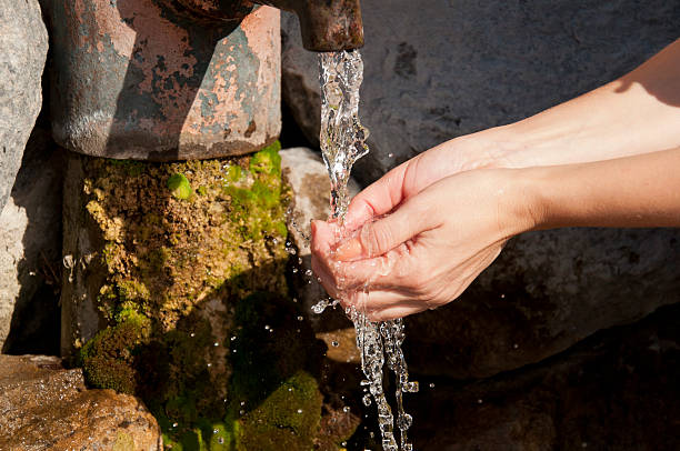 istock female hands under the column  of water from the source 523694567