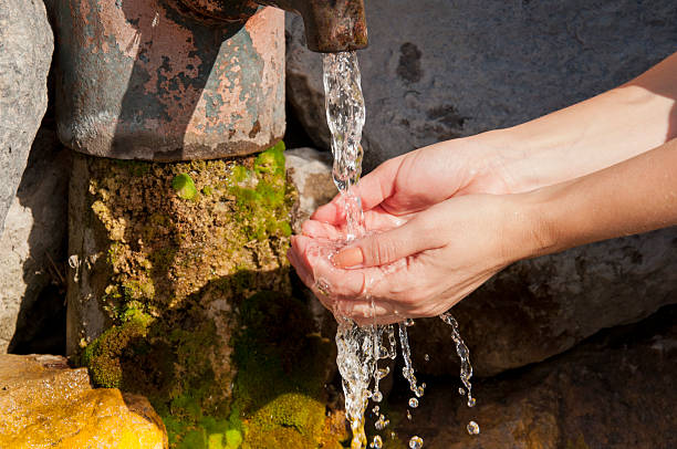 istock female hands under the column  of water from the source 523694569