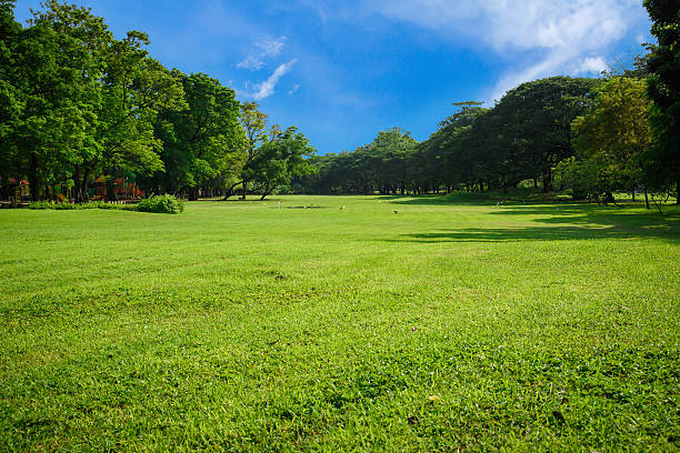 istock Green lawn with blue sky. 523694858