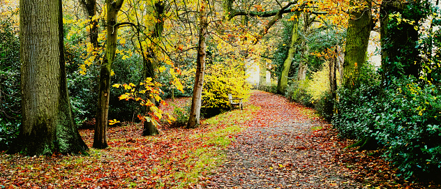 a footpath and public bridleway through the countryside